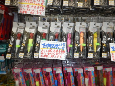 DSCN2429