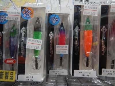 DSCN2446