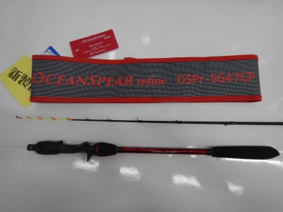 DSCN2449