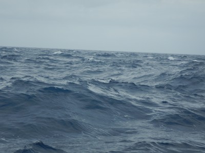 DSCN1585