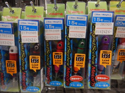 DSCN2495