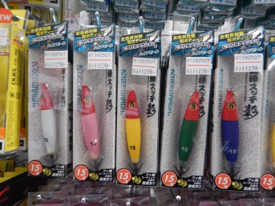 DSCN2546