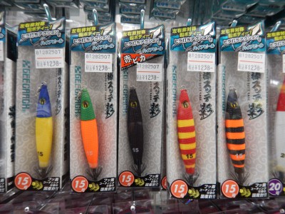 DSCN2547