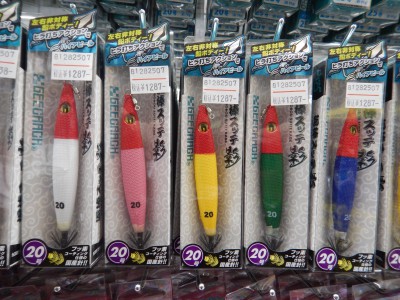 DSCN2548