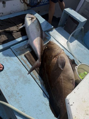 Compress_20251023_112436_6945