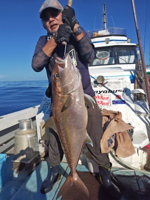 Compress_20251023_112438_8193