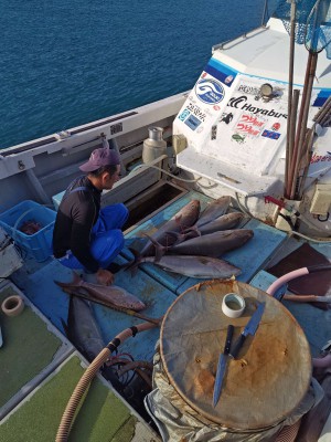 Compress_20251208_124357_7844