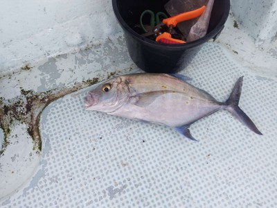 Compress_20260407_200222_2110