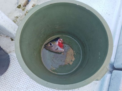 Compress_20260407_200222_2421