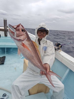 Compress_20260407_200222_2996