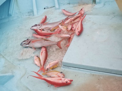 Compress_20260407_200223_3326