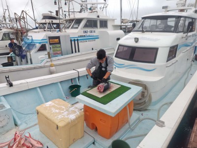 Compress_20260407_200223_3420