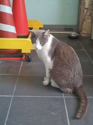 Compress_20260407_200223_3809