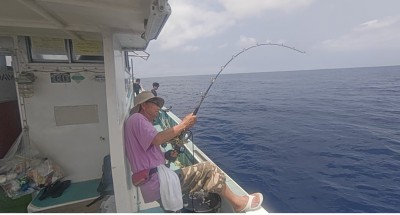 Screenshot_20260423-113921~2