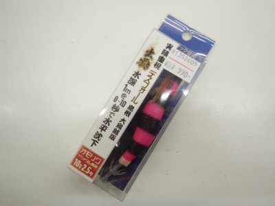 DSCN2799
