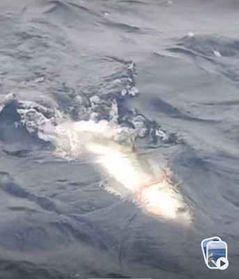 Screenshot_20260519-104931